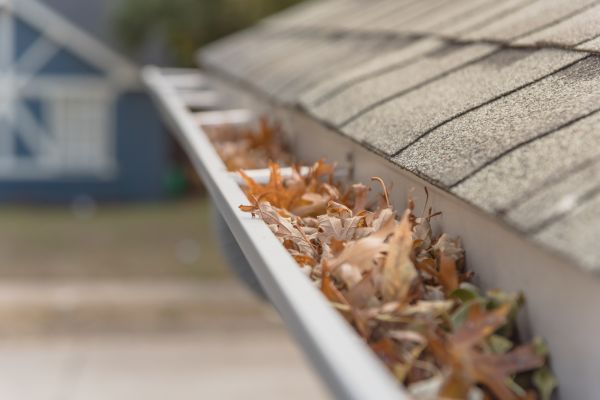 Leaf Barrier Installation in Elkhart